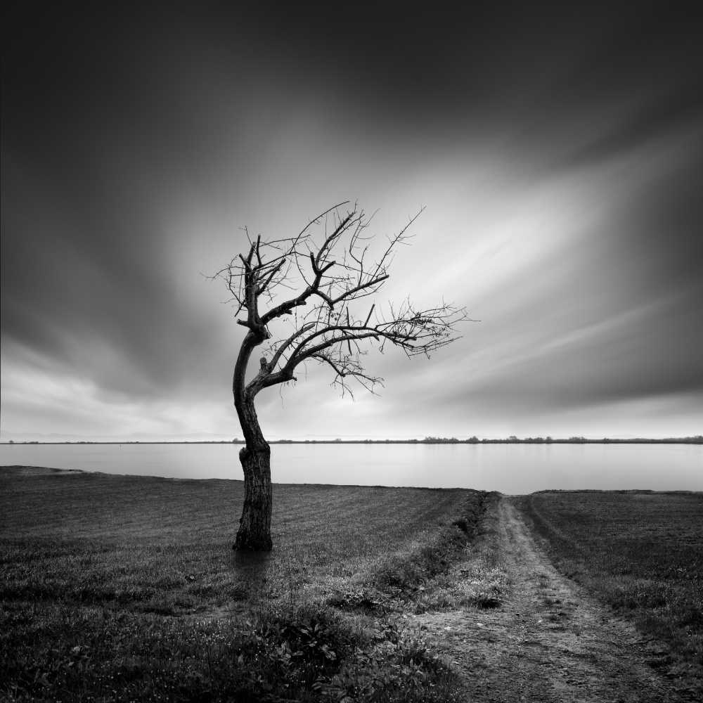 Lake Whisperer von George Digalakis