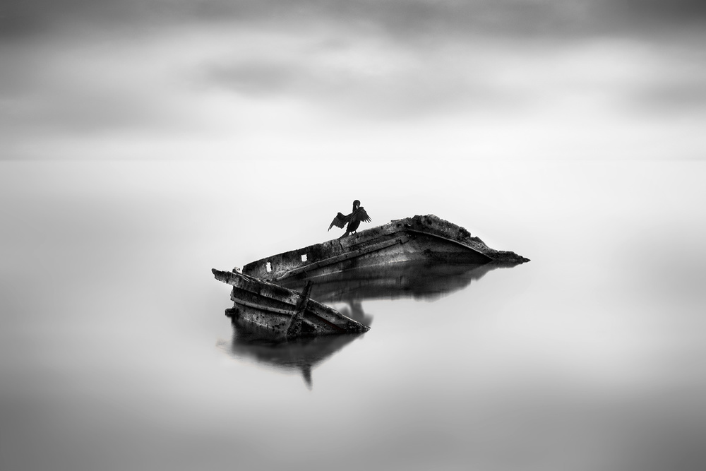 Sailing von George Digalakis