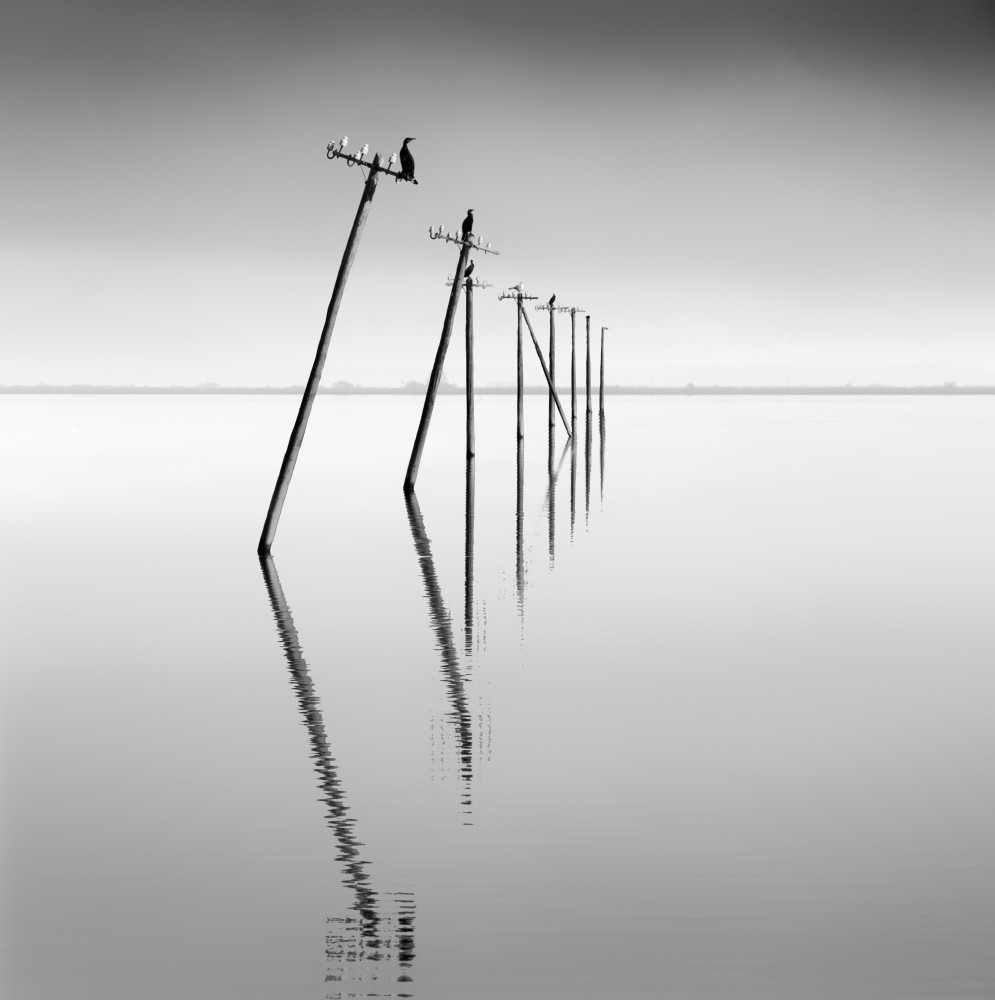 Surreal Reality von George Digalakis