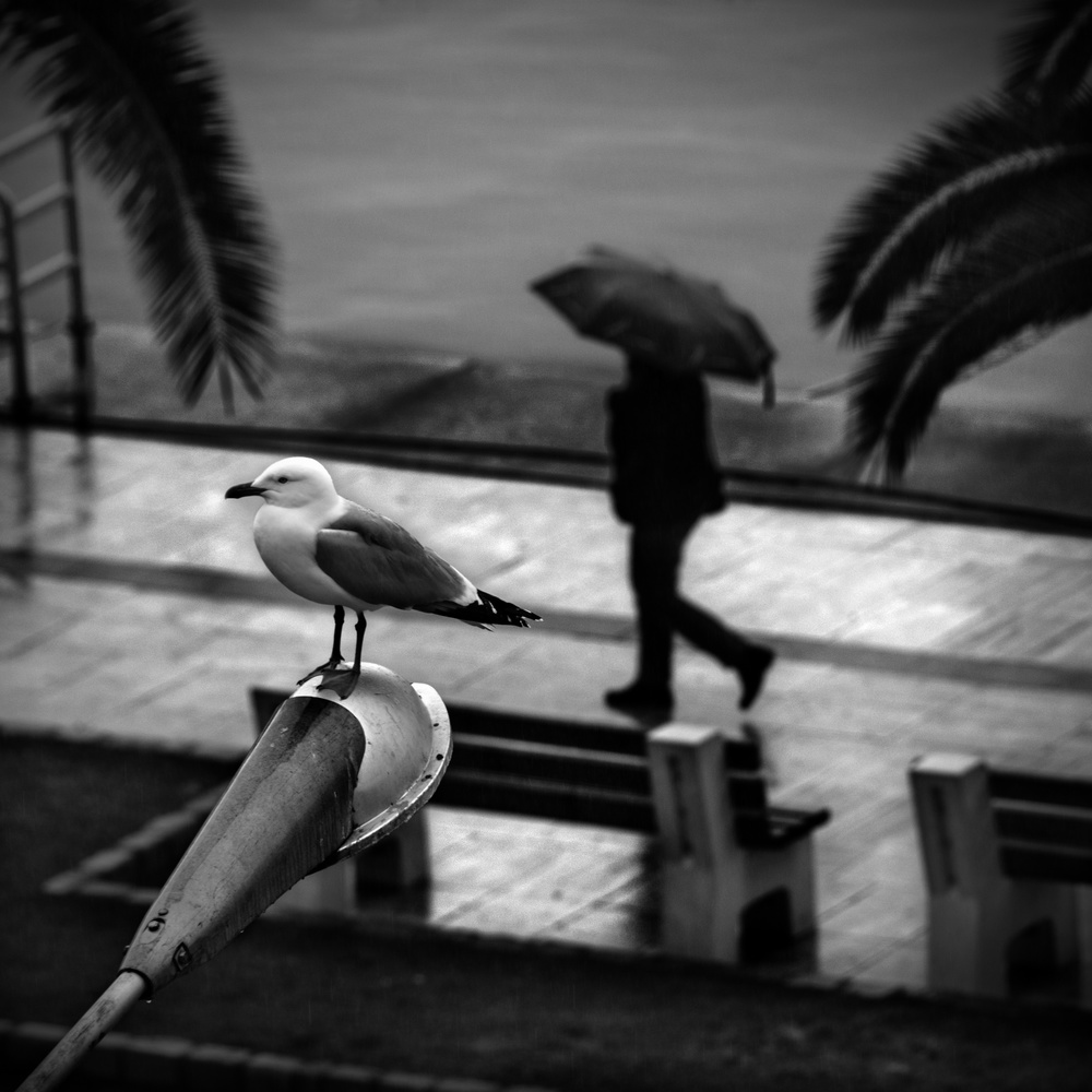 Urban Encounters 19 von George Digalakis