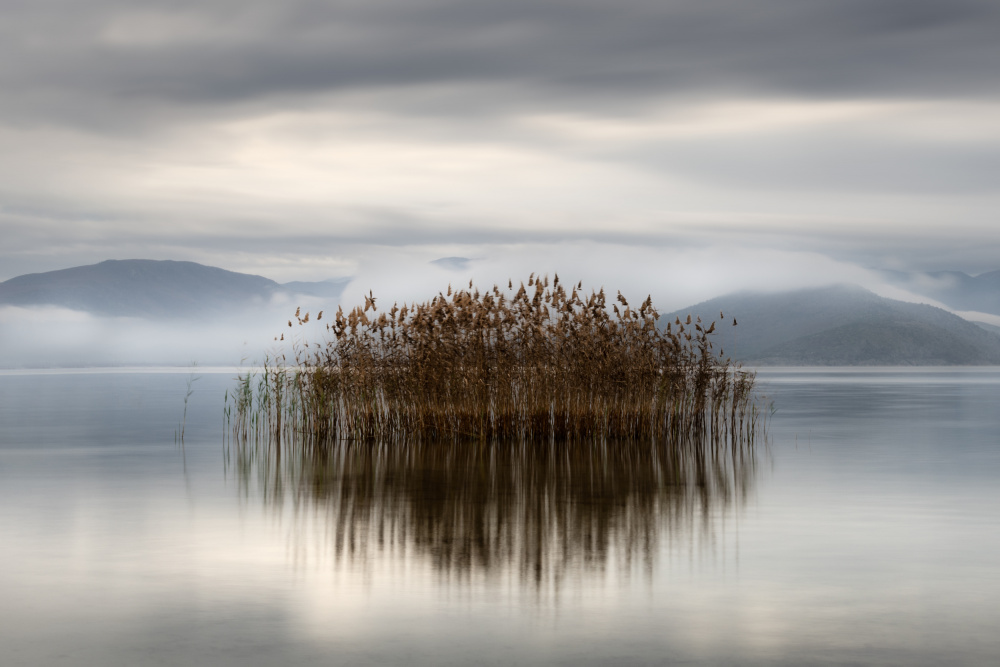 Vegoritis, 2022 von George Digalakis