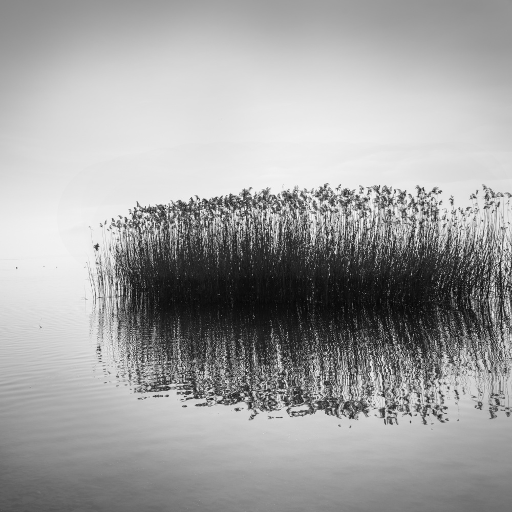 Lake Volvi 002 von George Digalakis