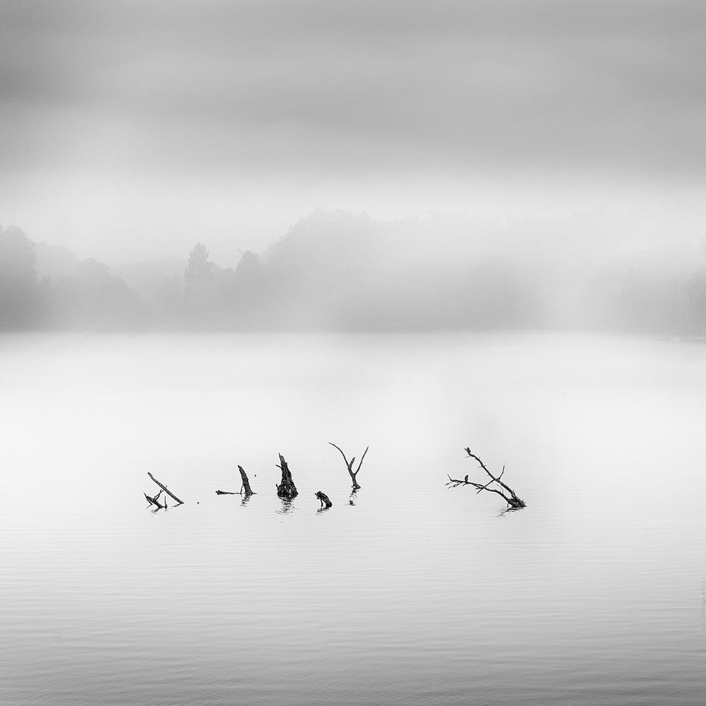 Waterland von George Digalakis