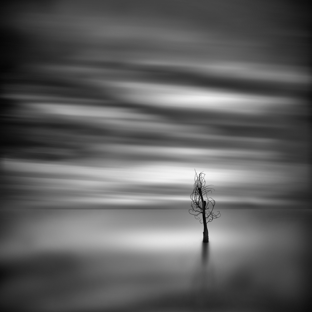 World of perpetual solitude von George Digalakis