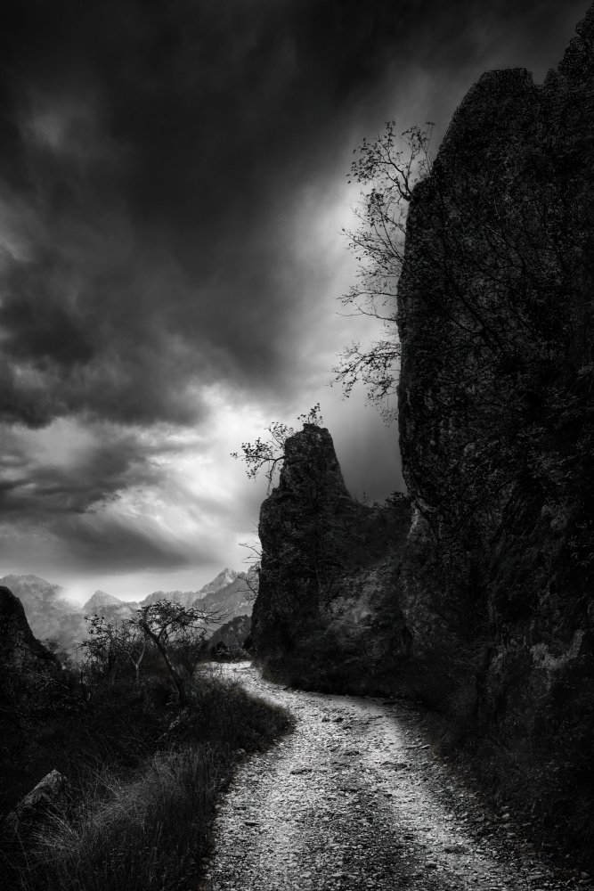 To The Light von George Digalakis