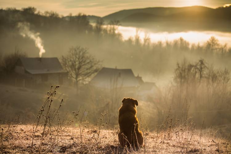 good connection von Georgianna Lefter