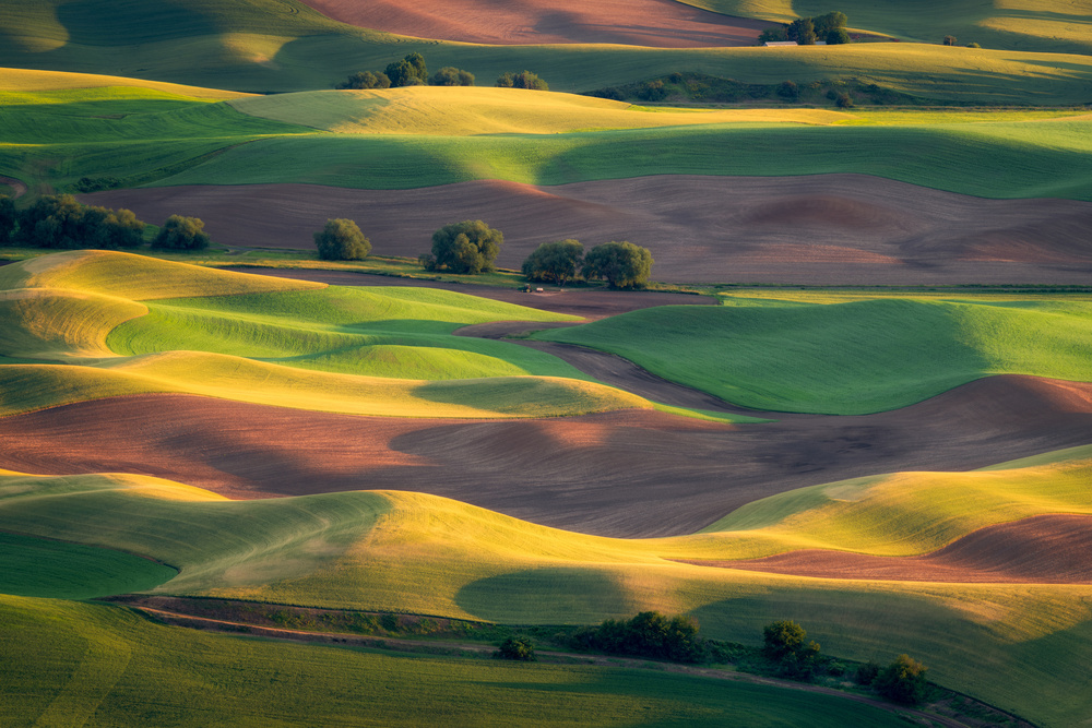 Colorful Palouse von Gerald Macua