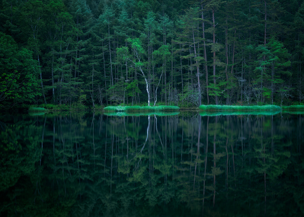 Silence von Gerald Macua