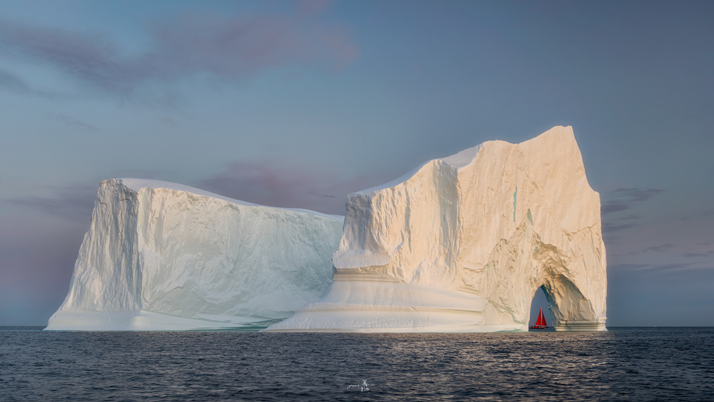 White giants von Gerald Macua