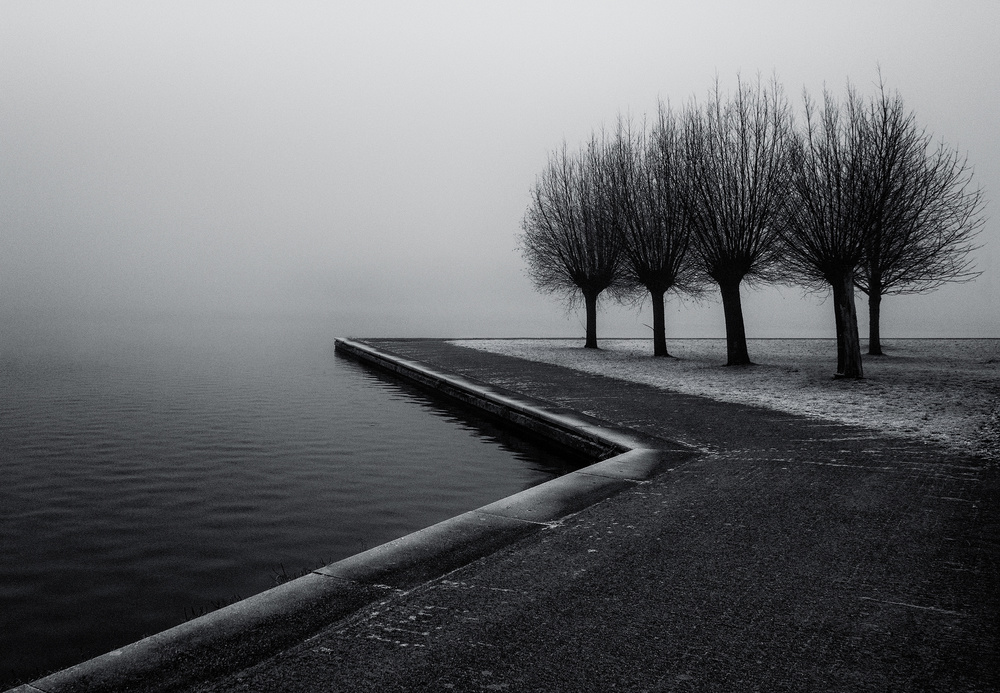 The Trees von Gerard Jonkman