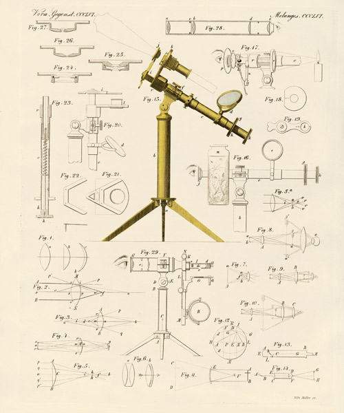 Magnifying glass and microscopical amusements von German School, (19th century)