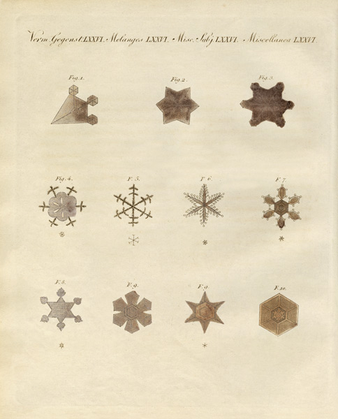 The snow with its crystallizations von German School, (19th century)