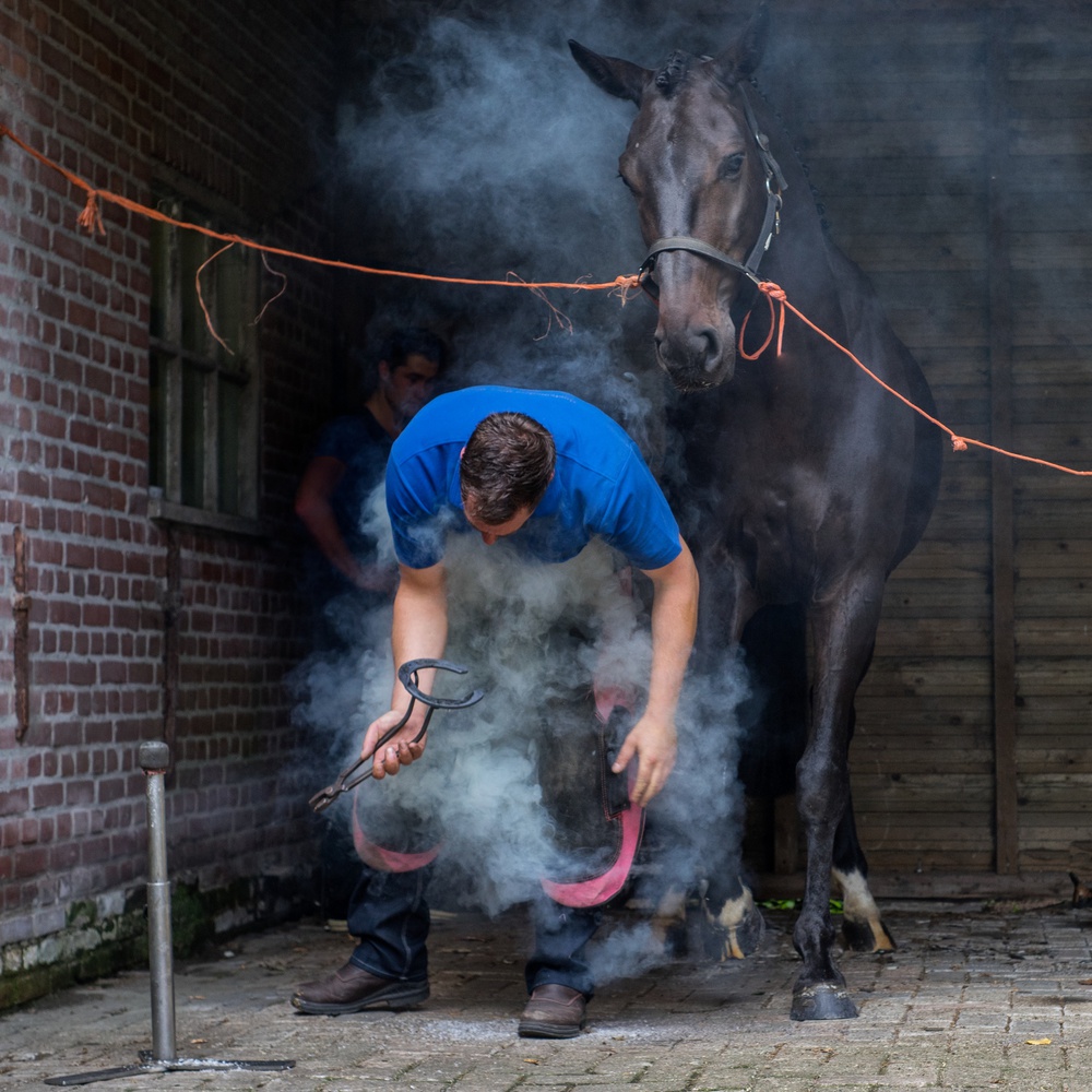 Fitting the horseshoe von Gert van den Bosch