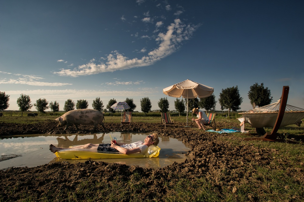 Chillin on the pigfarm von Gert van den Bosch