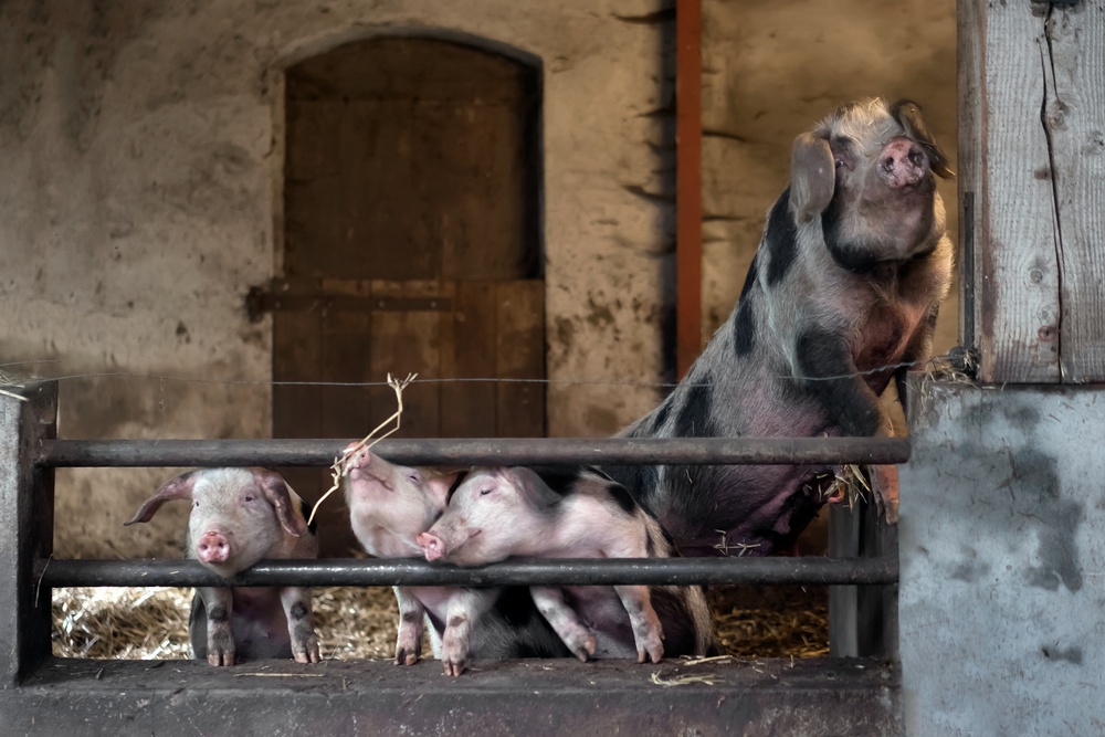 The happy family von Gert van den Bosch