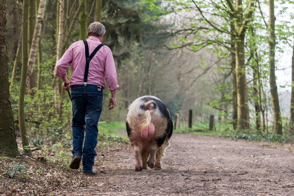 A walk in the woods von Gert van den Bosch