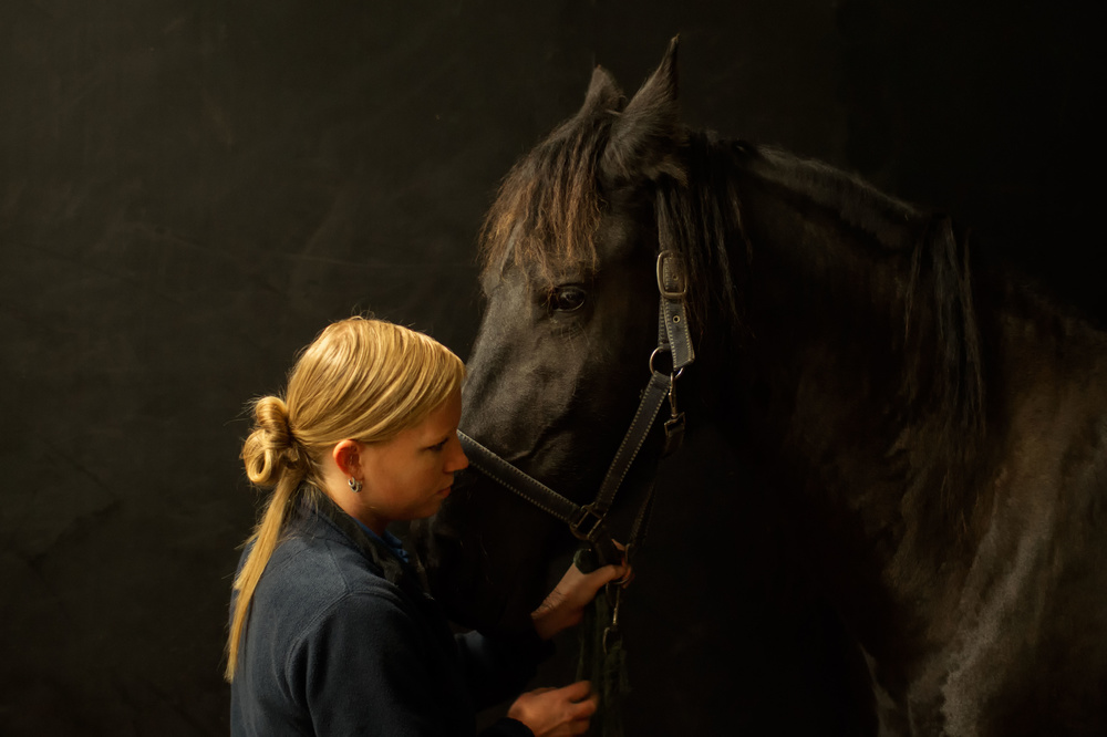 Caring von Gert van den Bosch