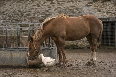 Sharing Lunch