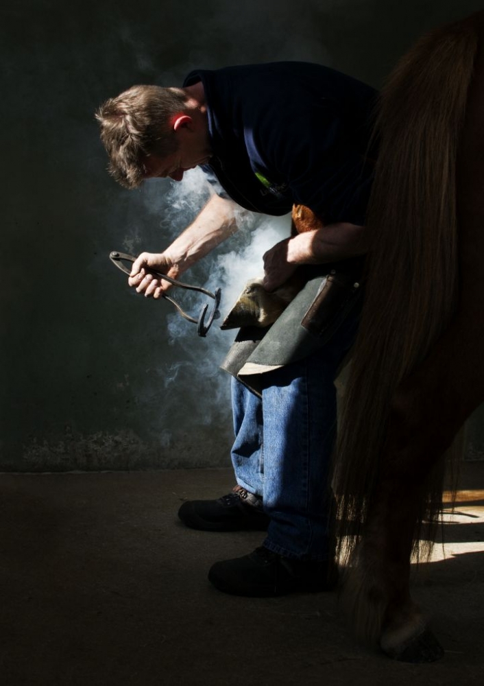 Farrier at work von Gert van den Bosch