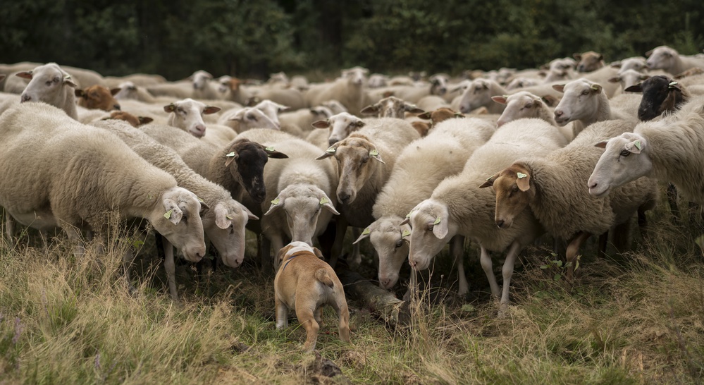 Ok! Everybody listen up! von Gert van den Bosch