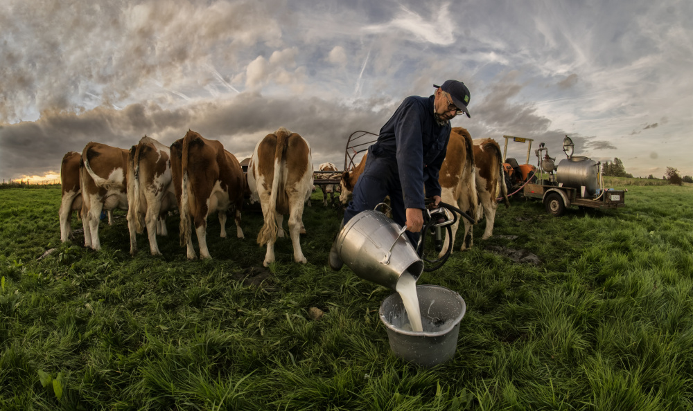 As fresh as fresh can be von Gert van den Bosch