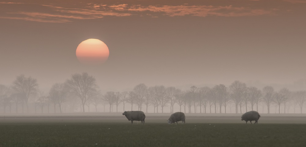 Sunset von Gert van den Bosch