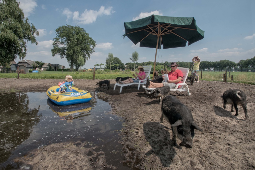 Holiday on the pigfarm von Gert van den Bosch