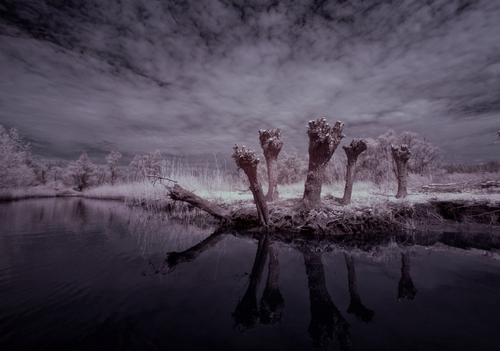 Waiting for the witches infrared von Gert van den Bosch