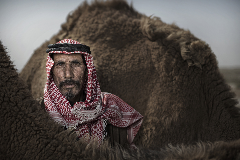 Bedouins of Iraq von Ghaith Salih