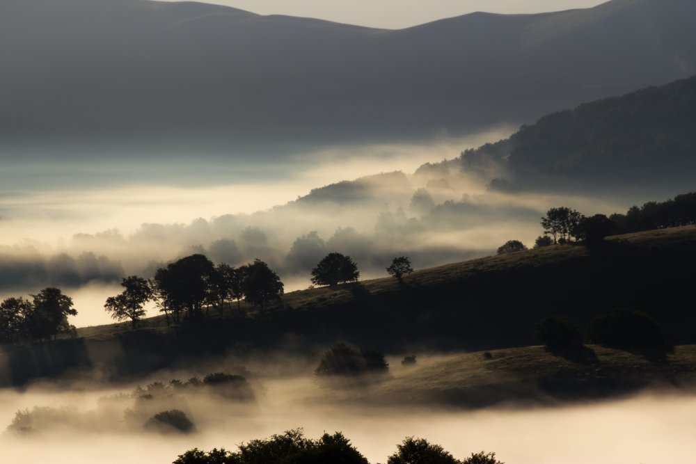 Morning mist von Gianluca Li Causi