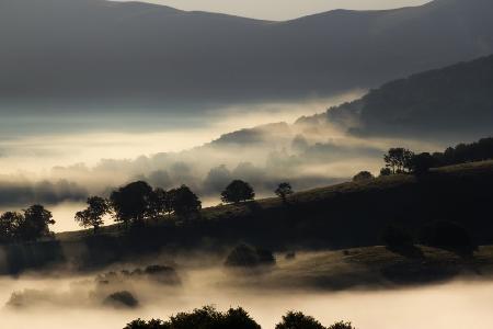 Morning mist