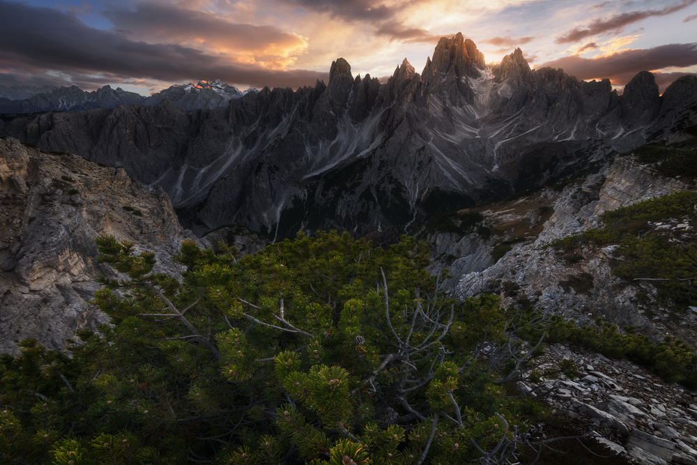 Surrender von Gianluca Podestà