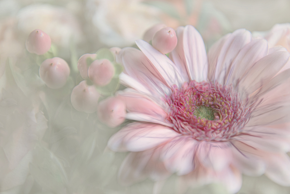 Flowering Happiness von Gilbert Claes