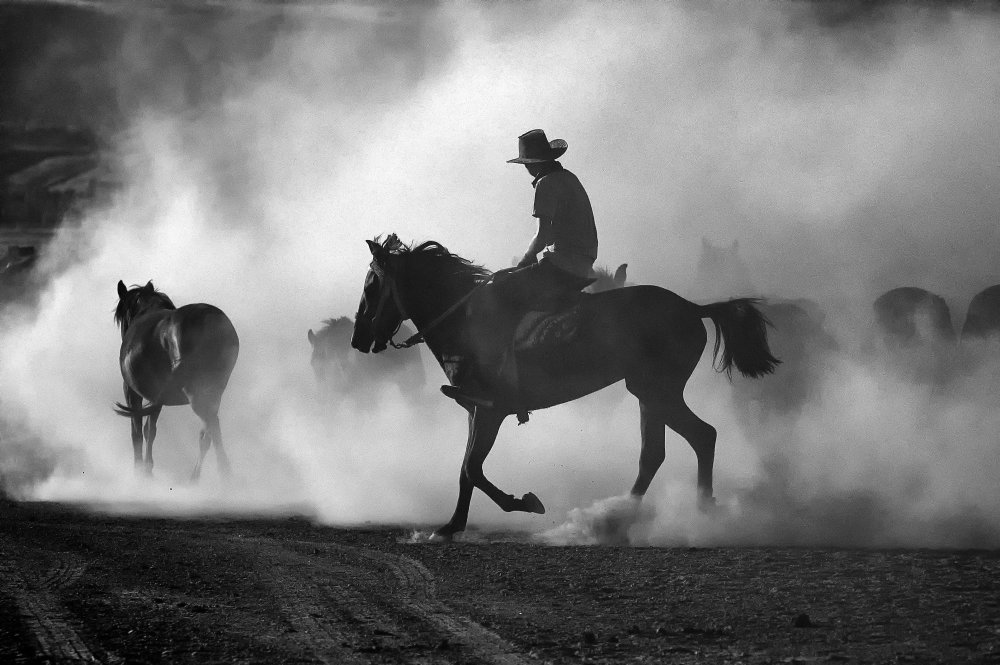 among the dust von Gilcan Mete