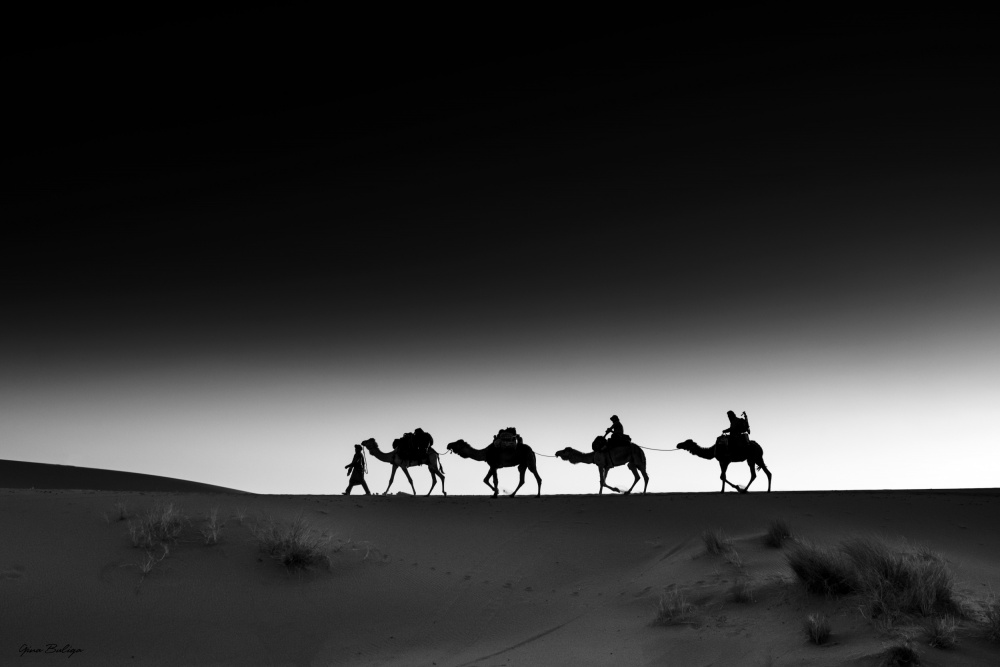 Morocco - the silent of the earth von Gina Buliga