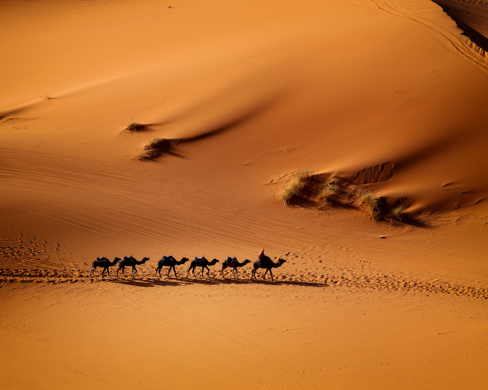 Morocco - the silent of earth von Gina Buliga