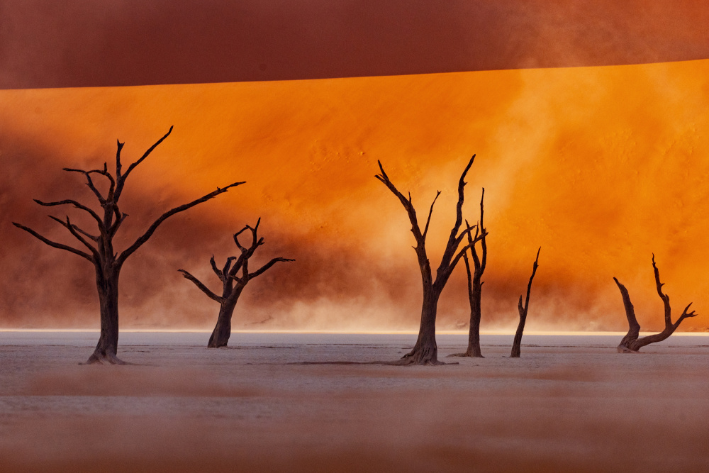 Namibia: The Spirit of Wilderness von Gina Buliga