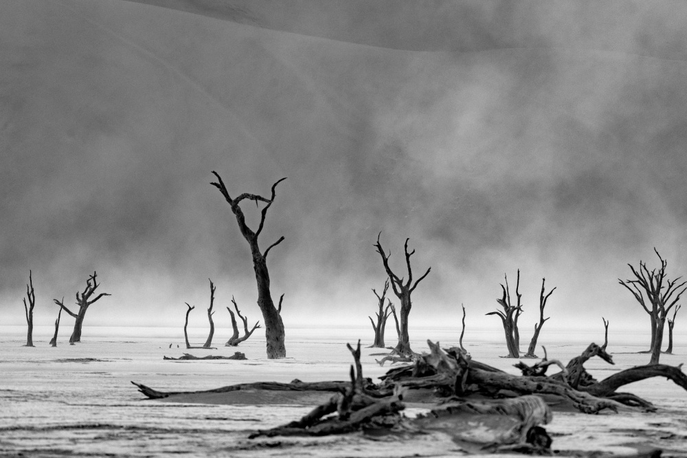 Namibia: The Spirit of Wilderness von Gina Buliga