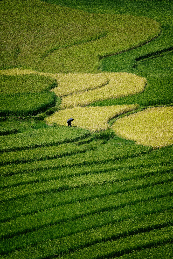 Our way to VietNam von Gina Buliga