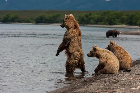 Waiting for a fish