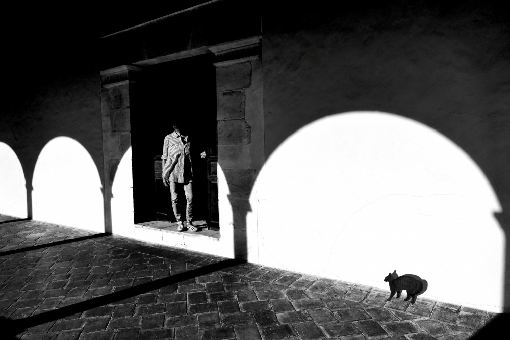 Meeting in the cloister von Giorgio Pizzocaro