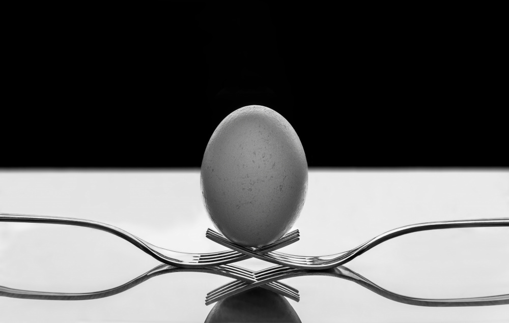 The egg von Giorgio Toniolo