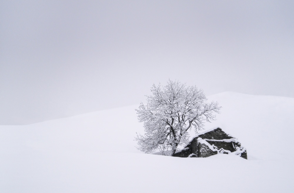 In the snow von Giorgio Toniolo