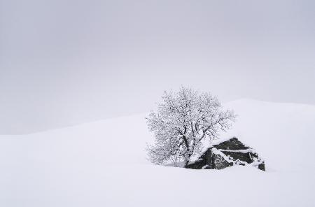 In the snow