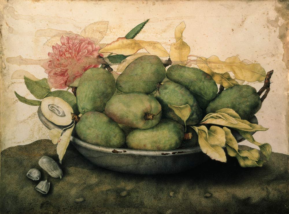 Bowl with Plums... von Giovanna Garzoni