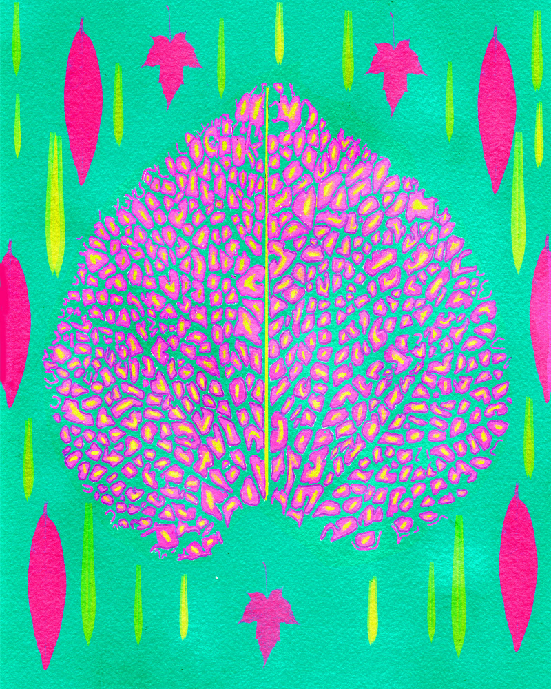 Leaves In Pink.png von giovanna nicolo