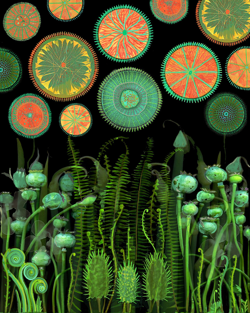 Psychedelic.png von giovanna nicolo