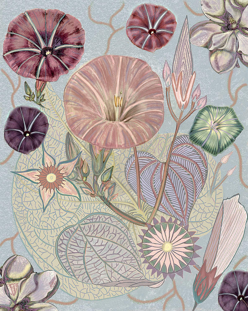 Vintage Wildflowers.png von giovanna nicolo