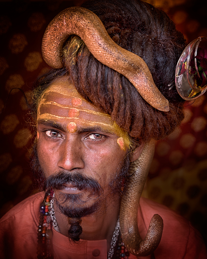 Young sadhu with a snake in his head of hair von Giovanni Cavalli