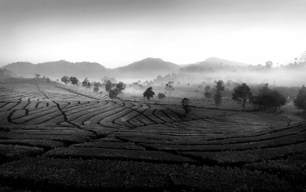 misty morning von Girdan Nasution